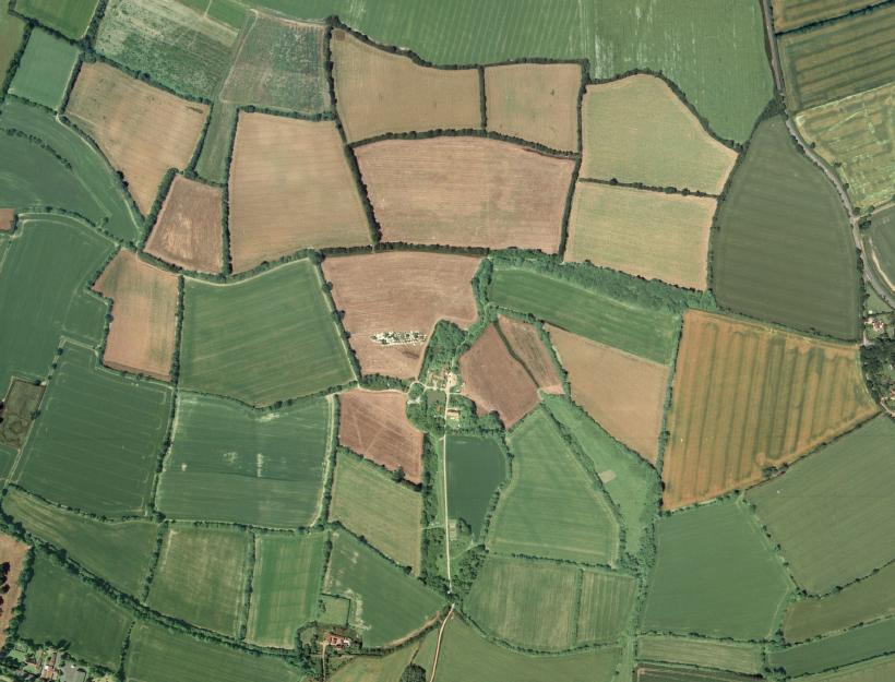 Intact pattern of early random enclosure near Eye in Suffolk